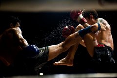 專業泰拳
